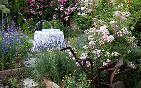 Carossi B&B